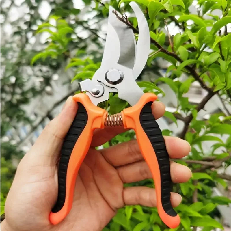 Pruner Garden Scissors Professional Sharp Bypass Pruning Shears Tree Trimmers Secateurs Hand Clippers for Garden Beak Scissors