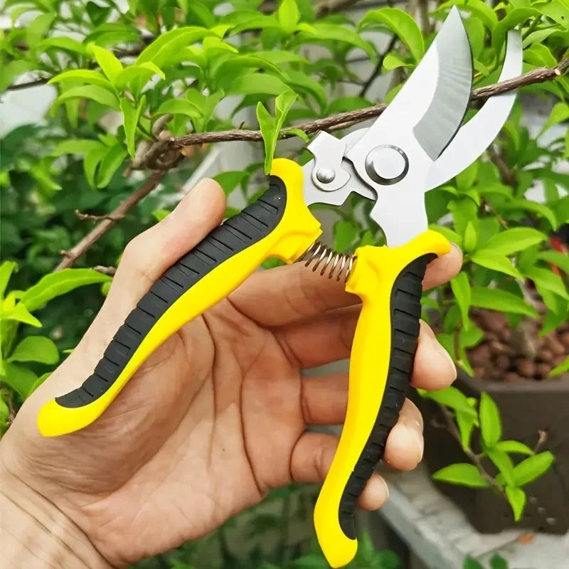 Pruner Garden Scissors Professional Sharp Bypass Pruning Shears Tree Trimmers Secateurs Hand Clippers for Garden Beak Scissors