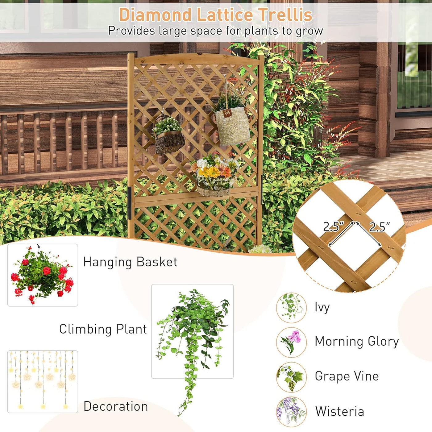 Wooden diamond lattice trellis with plants and text describing its use.