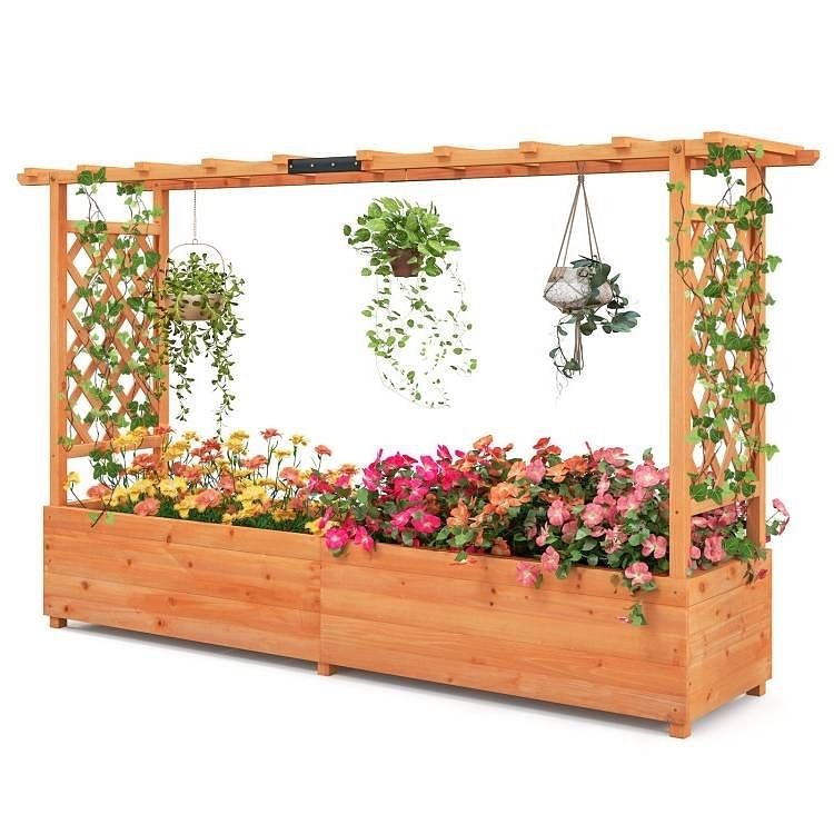 Wooden garden arch with plants and flowers on a white background