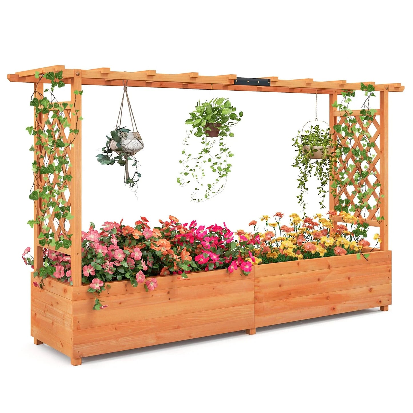 Wooden garden arch with raised bed and hanging plants on a white background