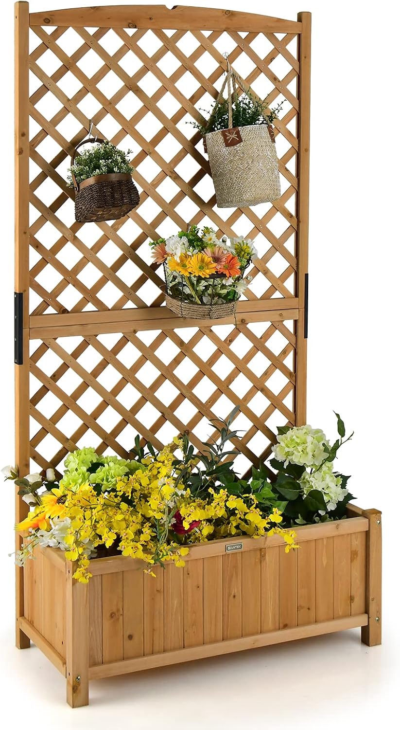 Wooden planter with lattice design and hanging baskets on a white background