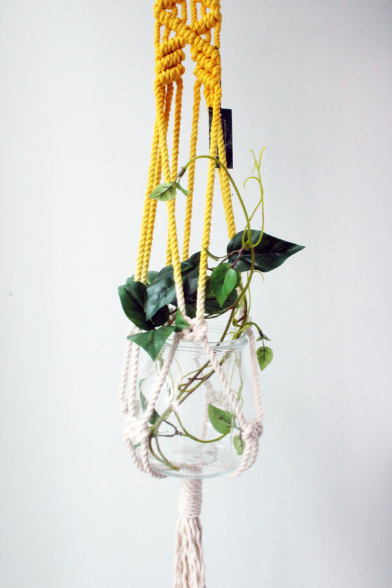 Yellow macrame plant hanger with a clear glass vase containing green leaves on a white background