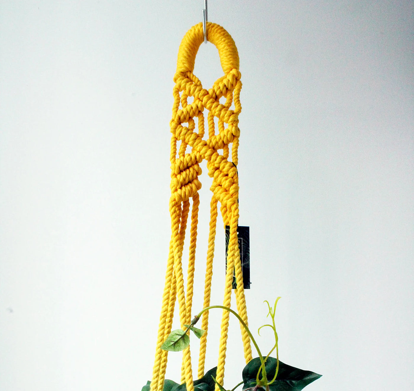 Yellow macrame plant hanger with a plant on a white background