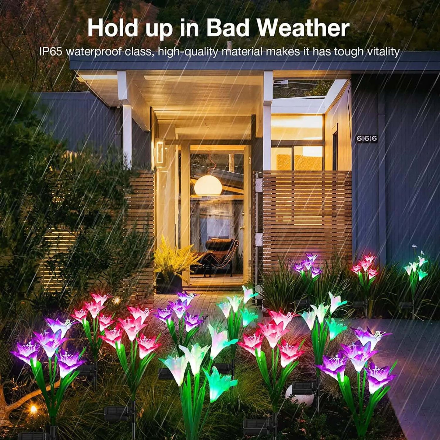 Color - Changing Solar Lights