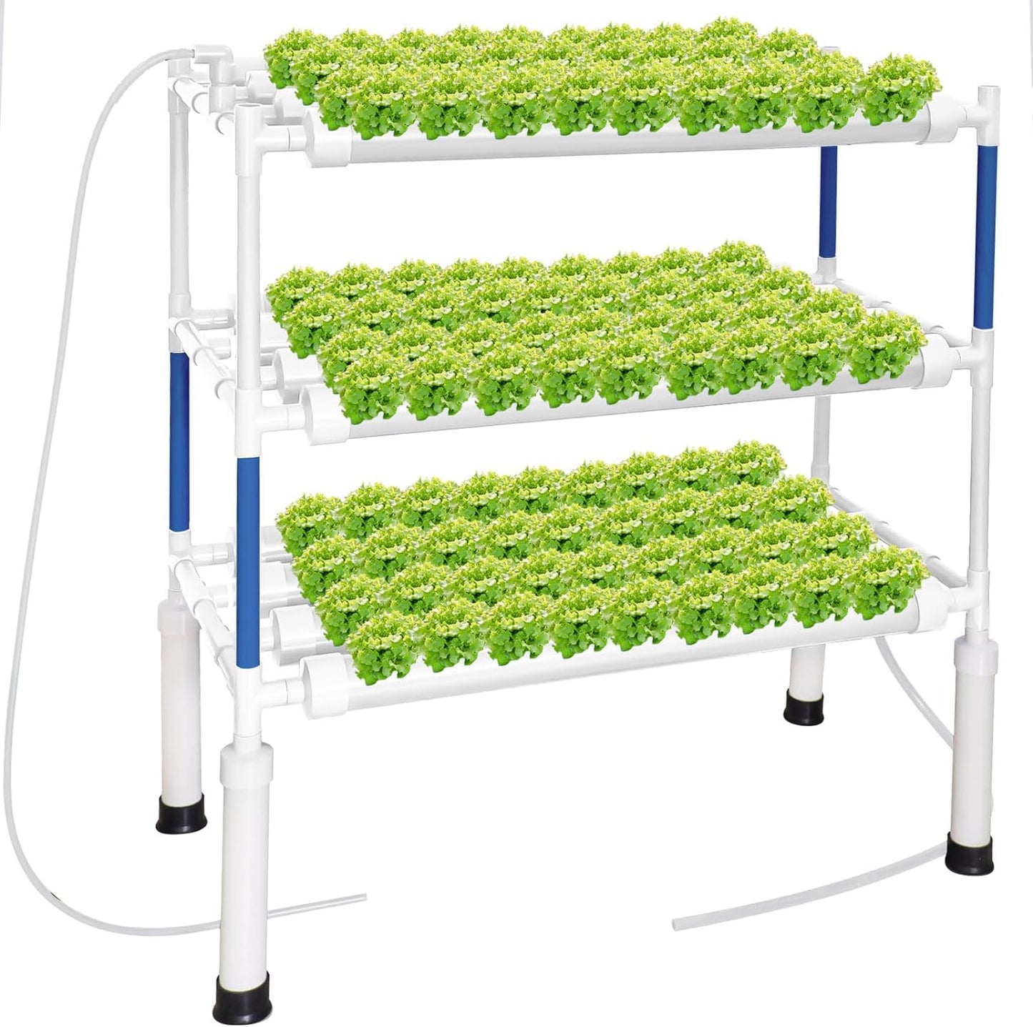 Complete Indoor Hydroponic Growing Solution