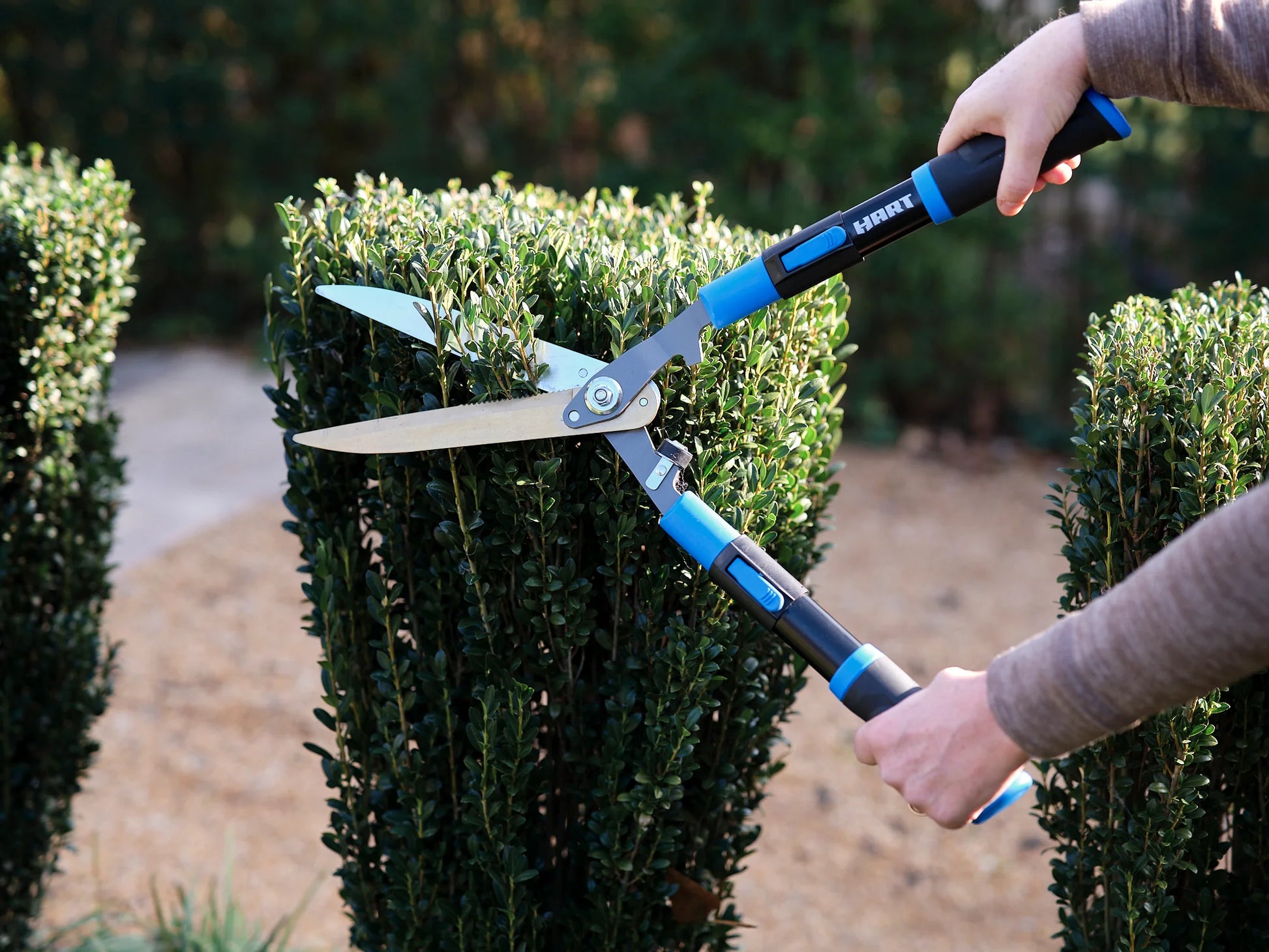 Garden Tool Starter Kit - Digging Shovel, Leaf Rake, Hedge Shears, 5/8" Bypass Hand Pruner