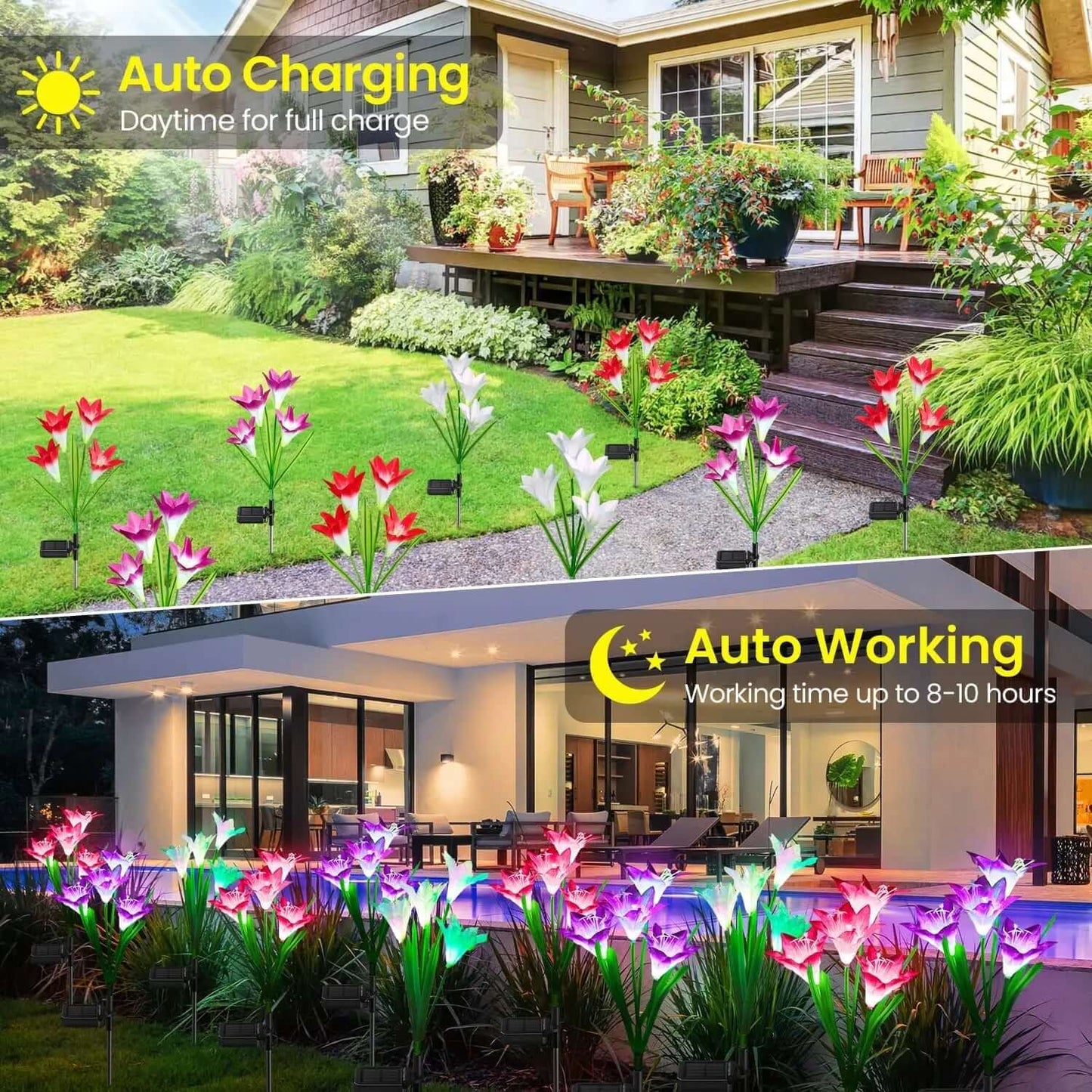 Color - Changing Solar Lights