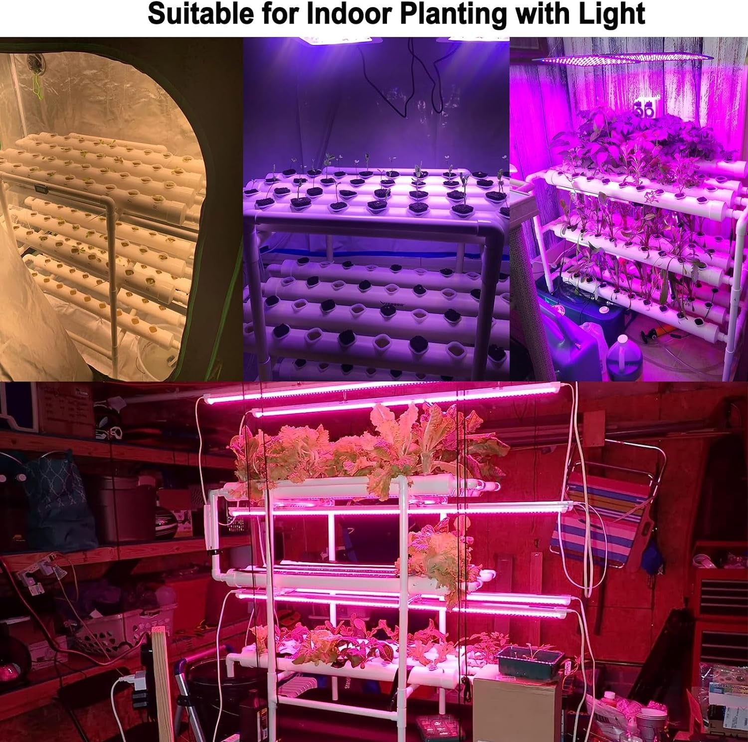 Complete Indoor Hydroponic Growing Solution