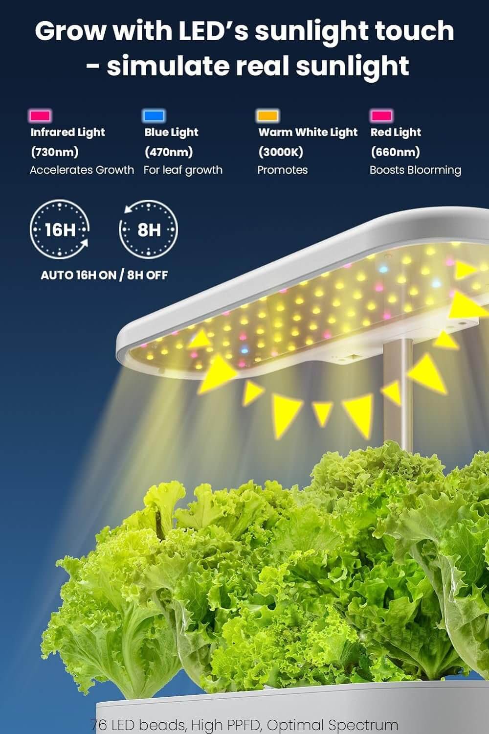 Self - Watering Hydroponics System for Herbs and Greens