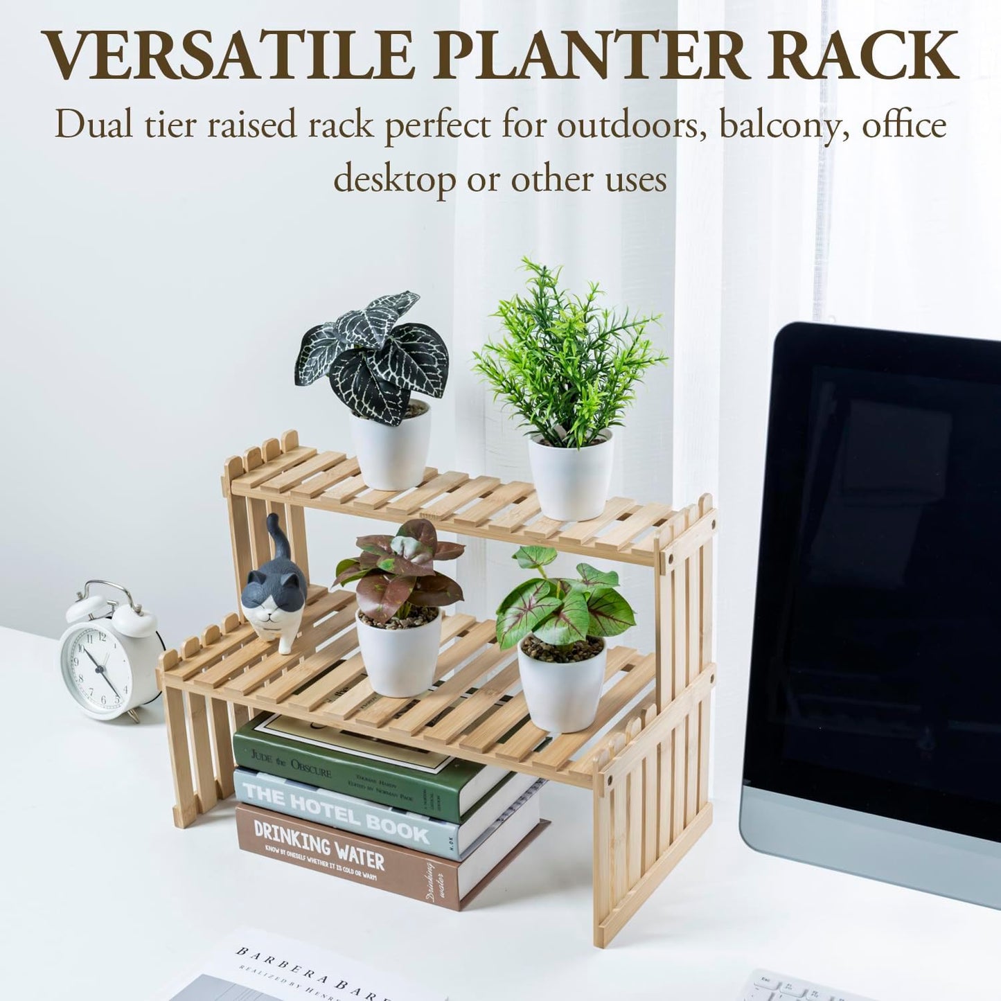 2-Tier Bamboo Plant Stand for Desk or Home Decor