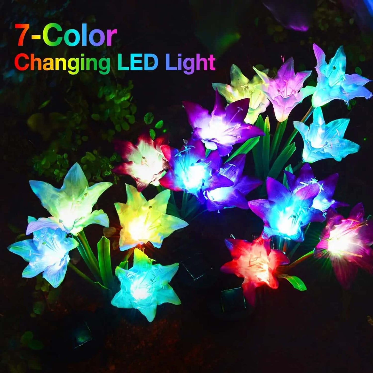 Color - Changing Solar Lights