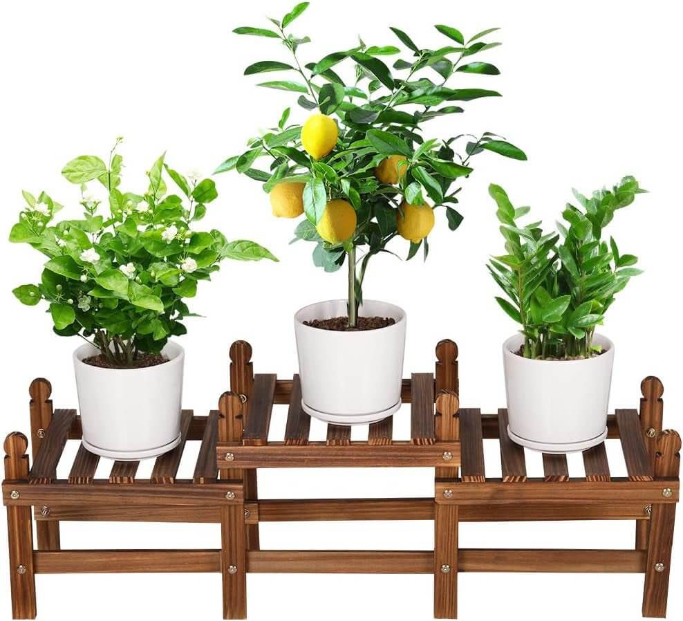 Wooden Plant Stand with 4 Tiers
