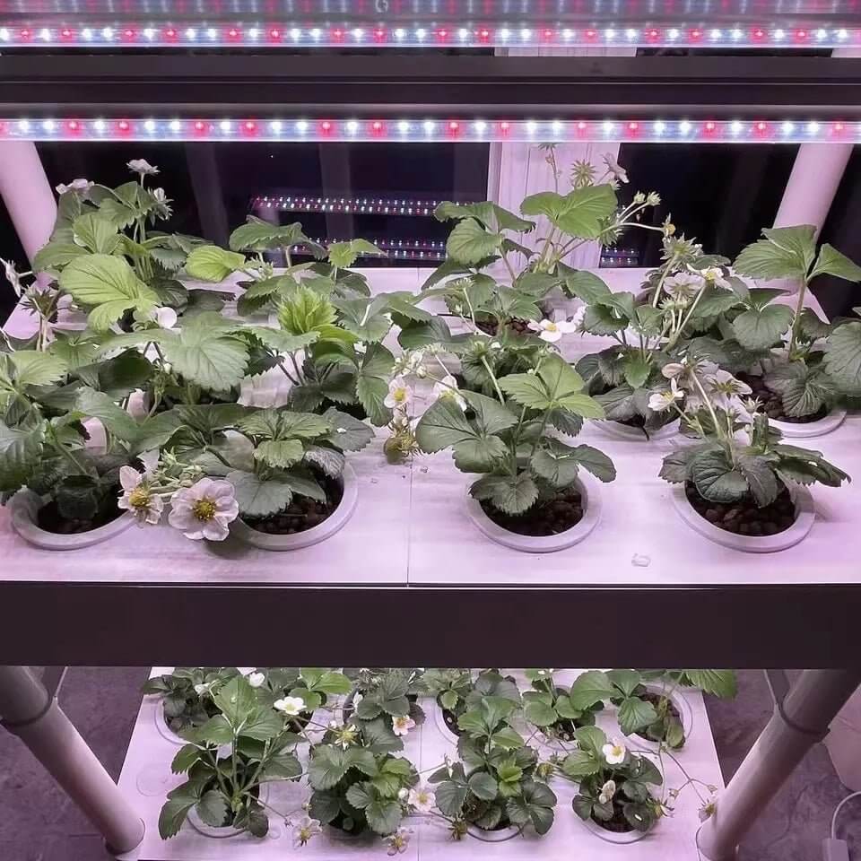 42 - Hole Hydroponic Tower with Grow Lights