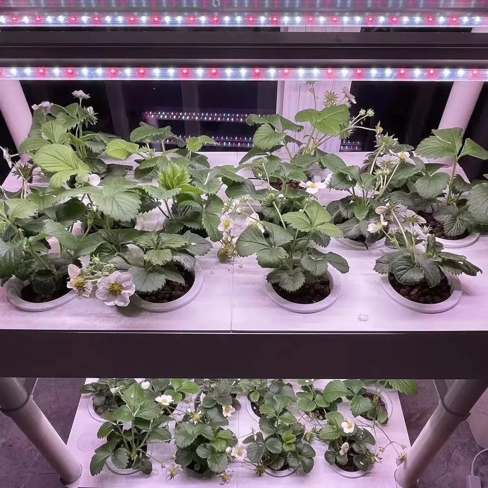 42-Hole Hydroponic Tower with Grow Lights