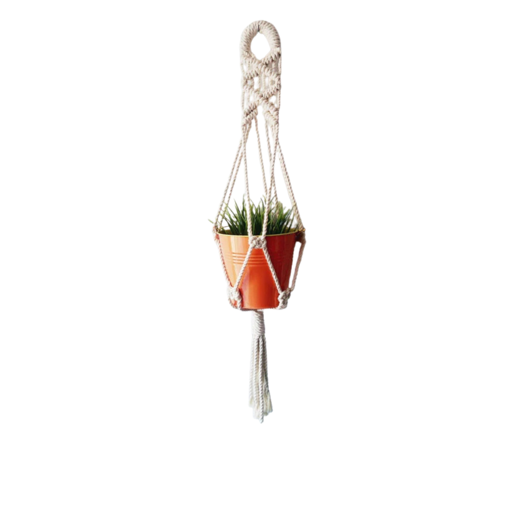 Handmade cotton cord macrame plant hanger holding a terracotta pot of grass, front view (plain studio)