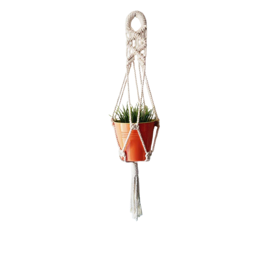 Handmade cotton cord macrame plant hanger holding a terracotta pot of grass, front view (plain studio)