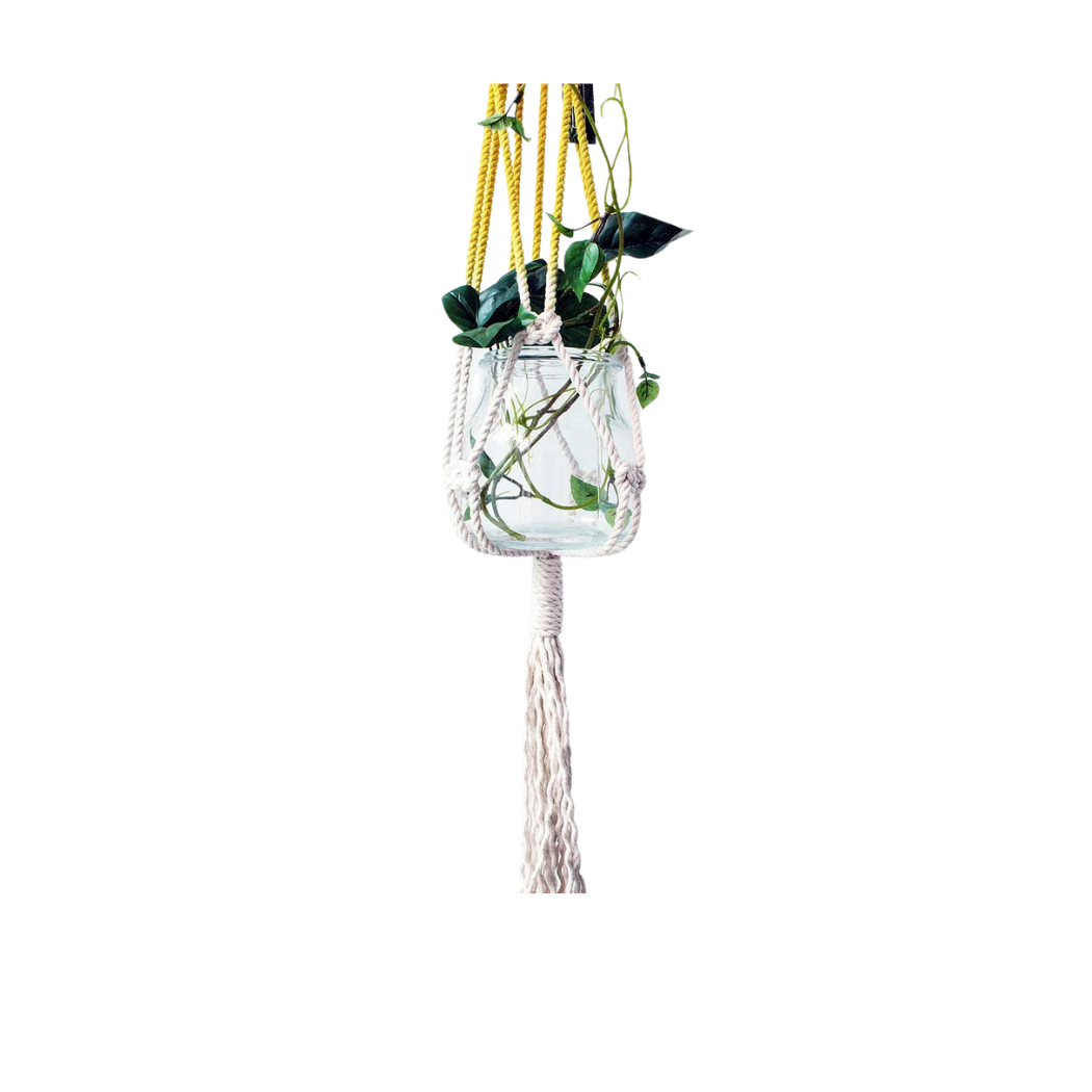 Hand dyed macrame plant hanger in yellow Ontario cotton holding a glass jar planter, front view (plain studio)