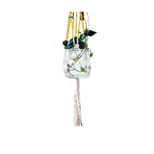 Hand dyed macrame plant hanger in yellow Ontario cotton holding a glass jar planter, front view (plain studio)