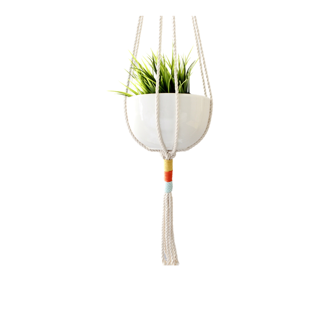Color-block cotton rope macrame plant hanger holding a white pot with greenery, front view (plain studio)