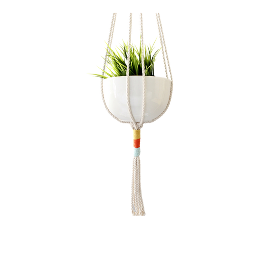 Color-block cotton rope macrame plant hanger holding a white pot with greenery, front view (plain studio)