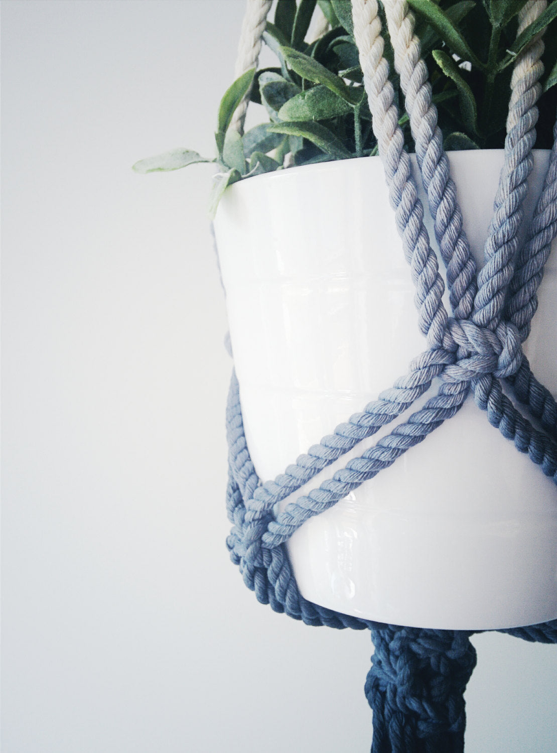 Blue cotton rope macrame plant hanger knotted around a white pot (close-up detail)