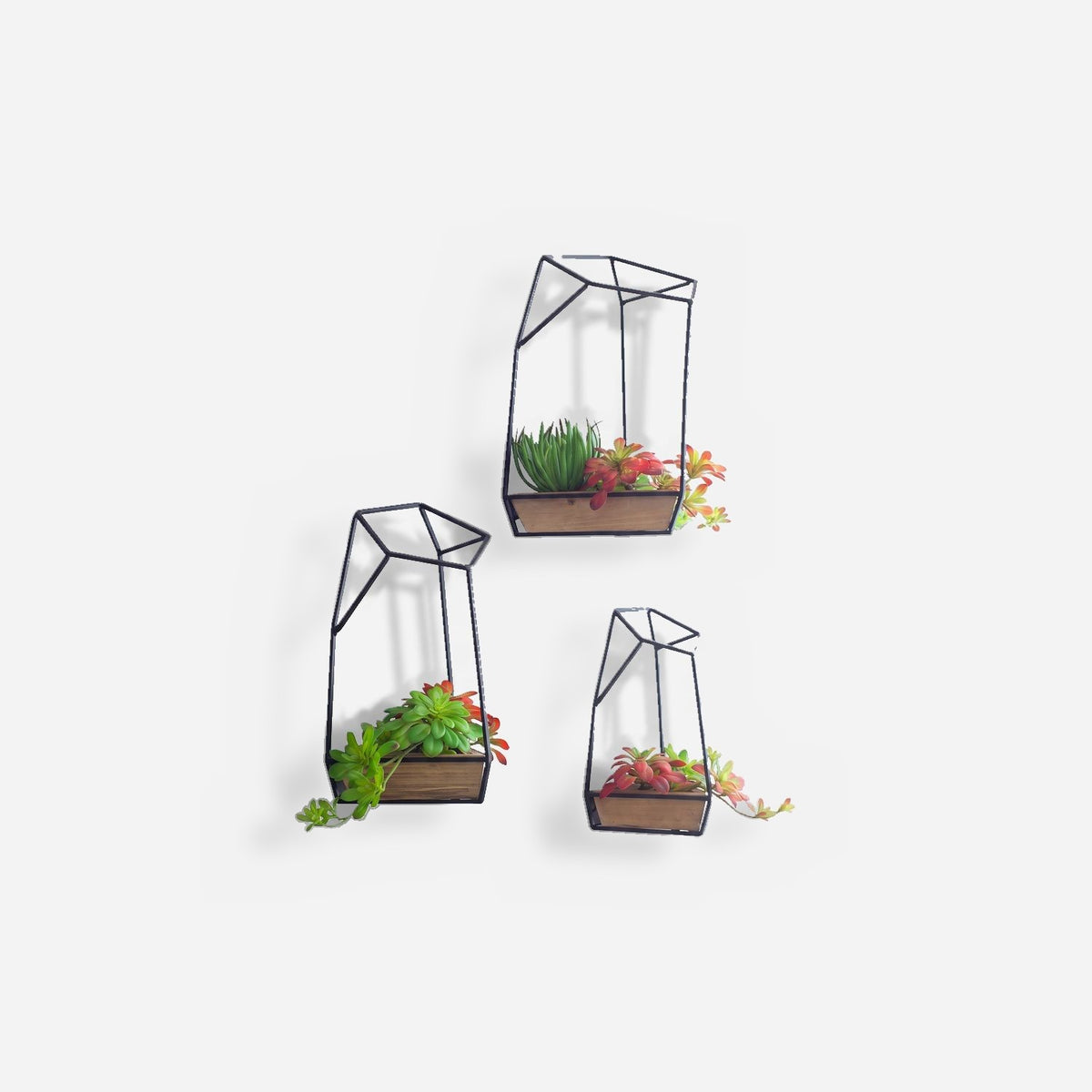 Metal wall planter set of three in matte black iron with fir wood trays