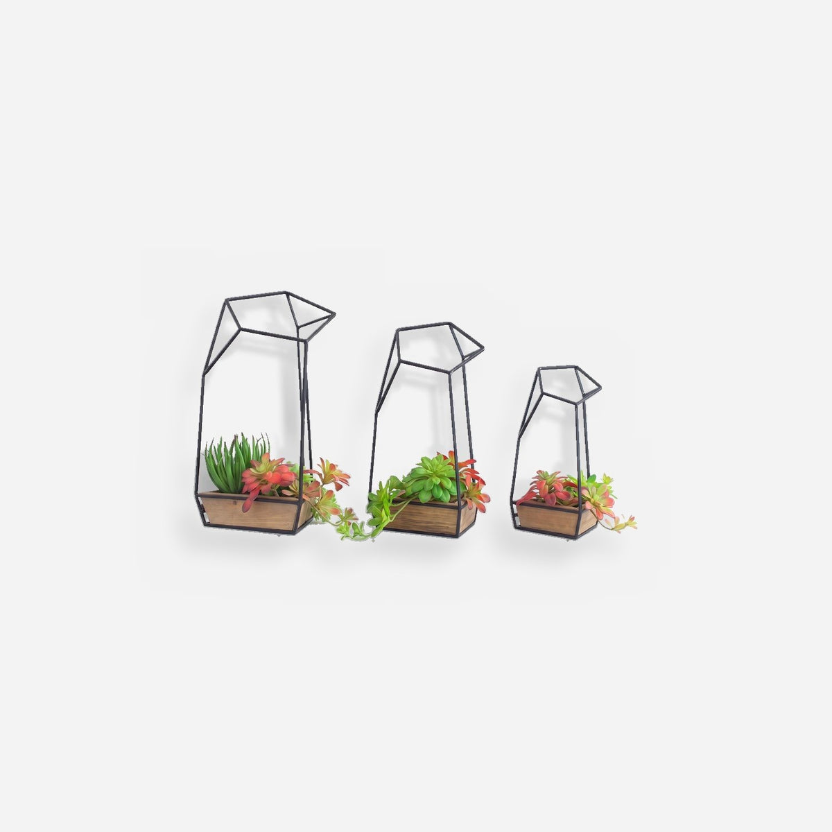 Geometric wall planter trio, three sizes in a row