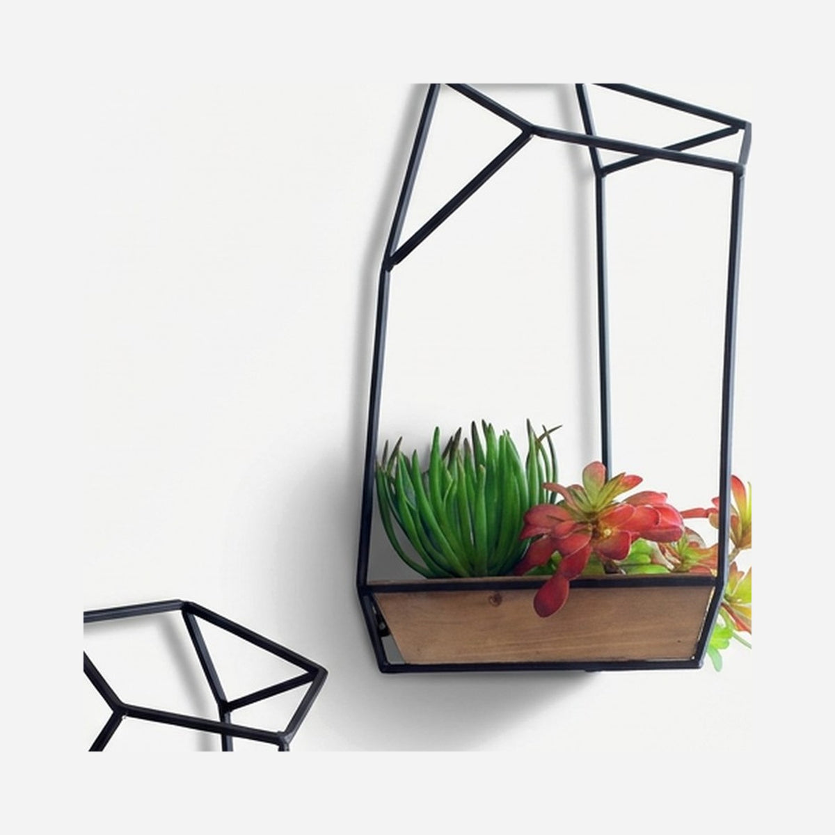Geometric iron wall planter frame close-up