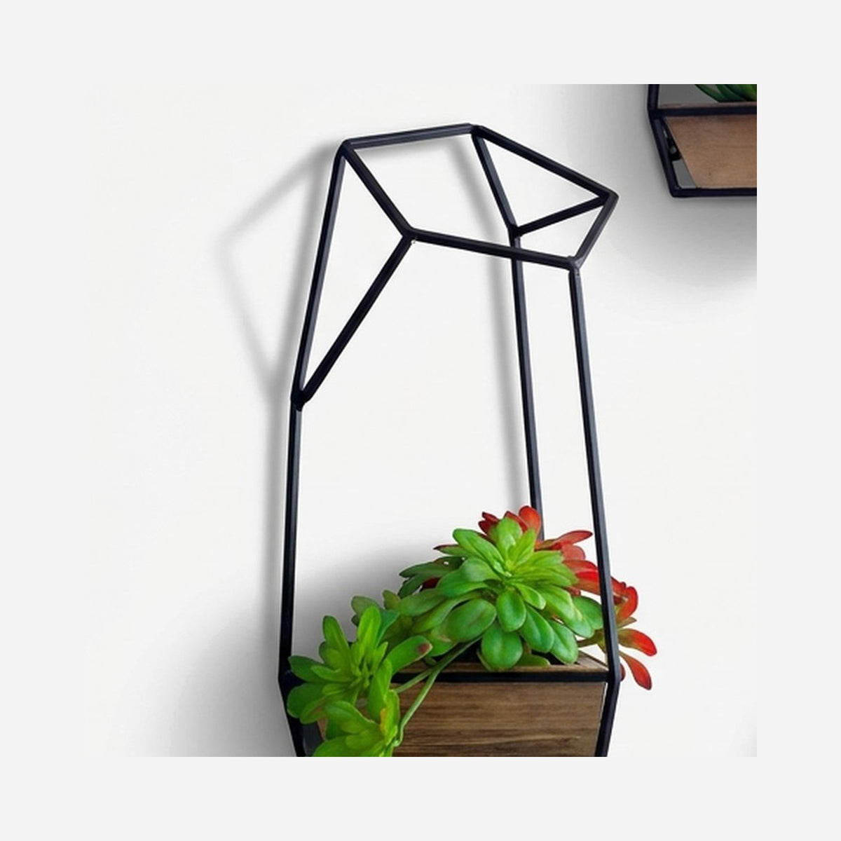 Fir wood tray and succulent planter detail