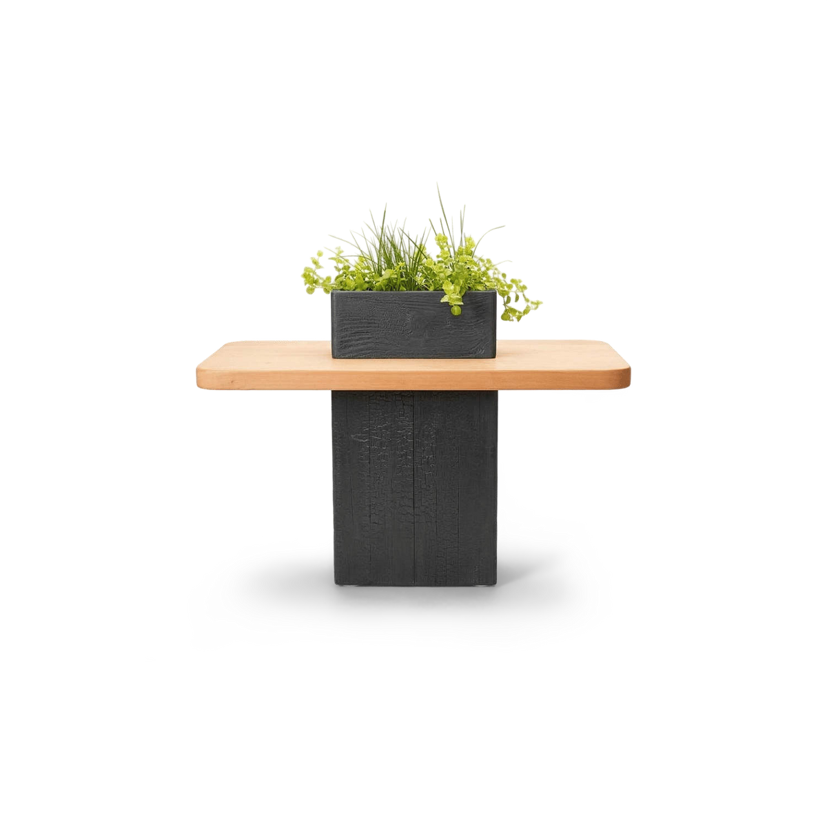 Planter side table with natural reclaimed wood top, torched black base and glass vase planter (plain studio)