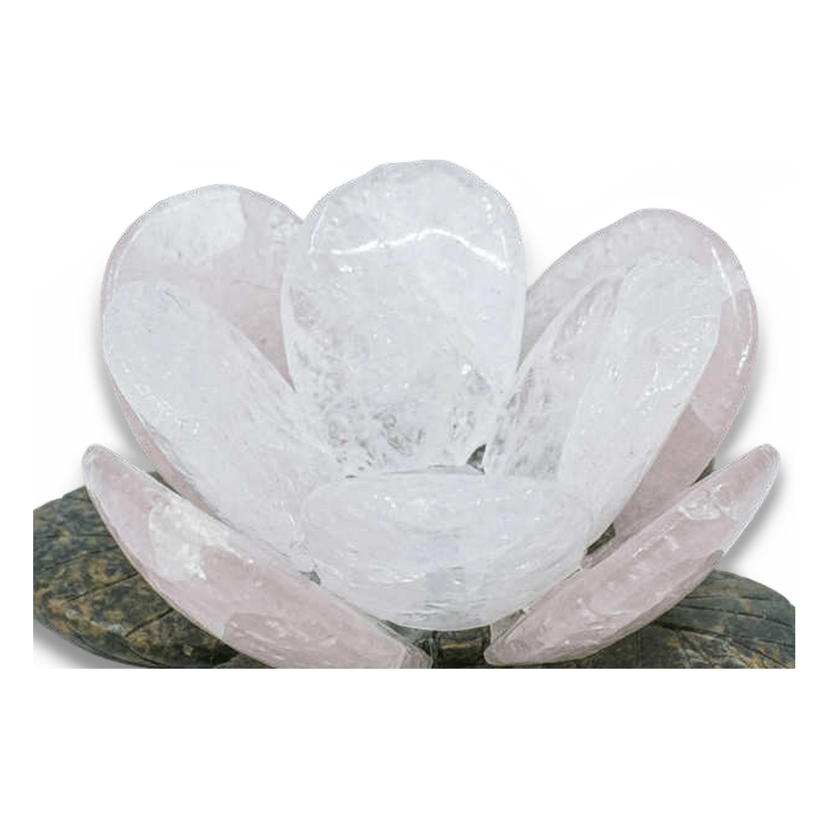 Carved rose quartz petals with natural inclusions (close-up detail, transparent)