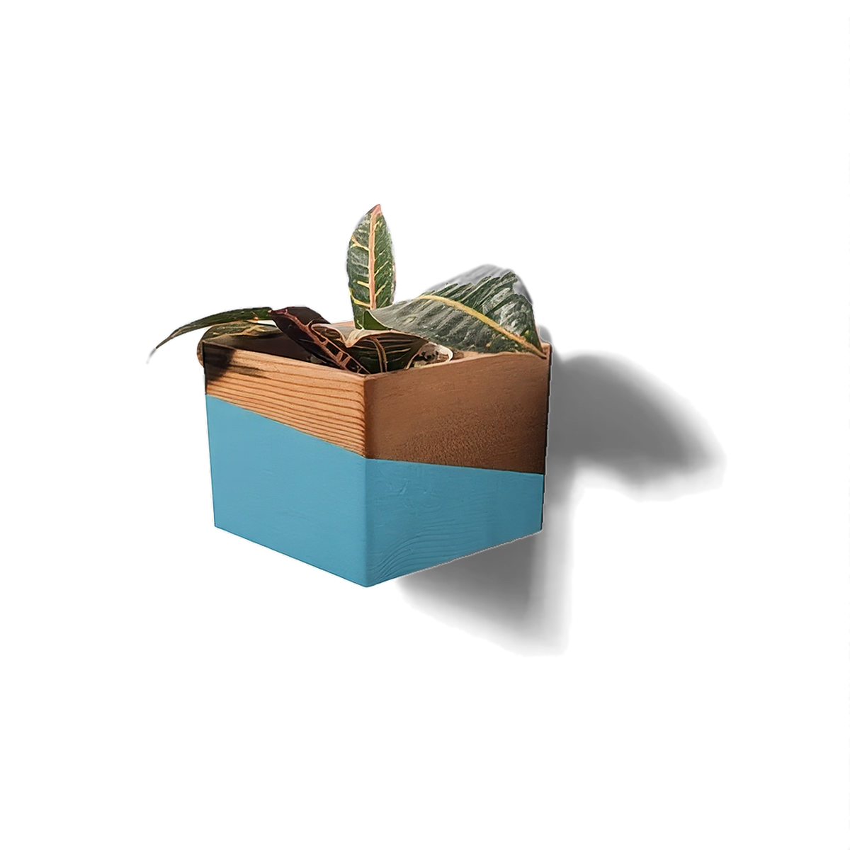 Self watering wall planter in reclaimed pine with a dipped blue band, hung corner-down on a white wall