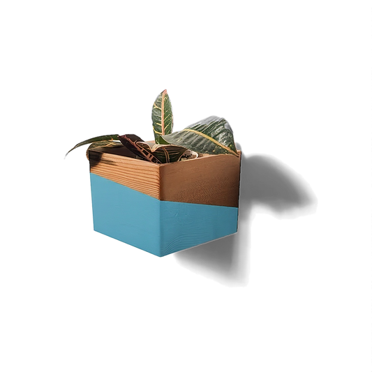 Self watering wall planter in reclaimed pine with a dipped blue band, hung corner-down on a white wall