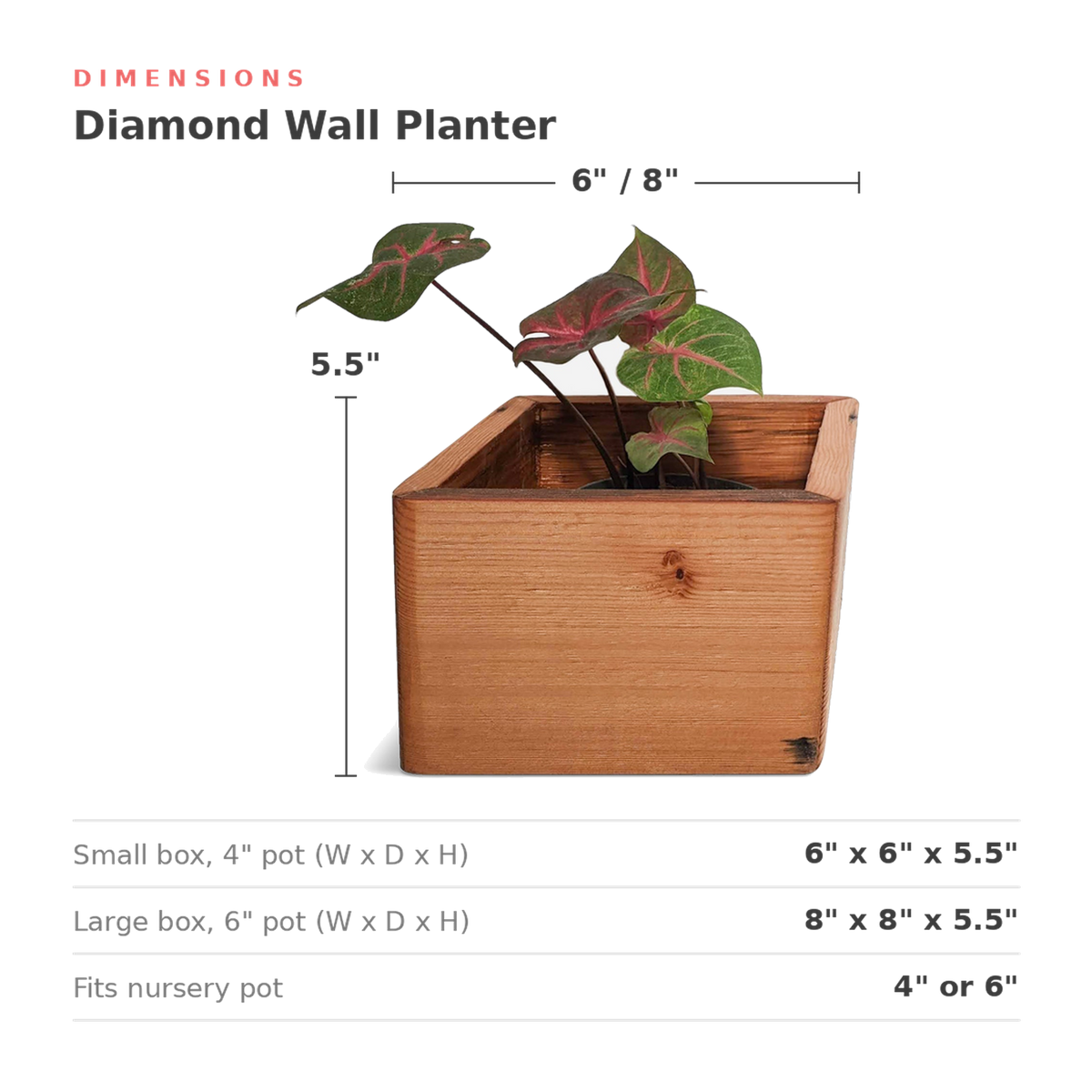 Dimensions card for the self watering wall planter, 6 and 8 inch square boxes