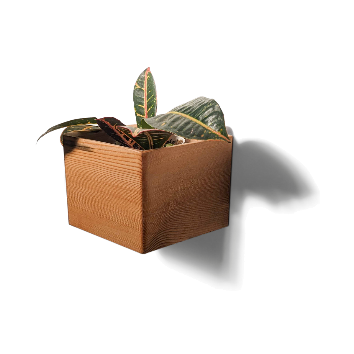 Natural tung-oil wooden wall planter in reclaimed pine, hung corner-down