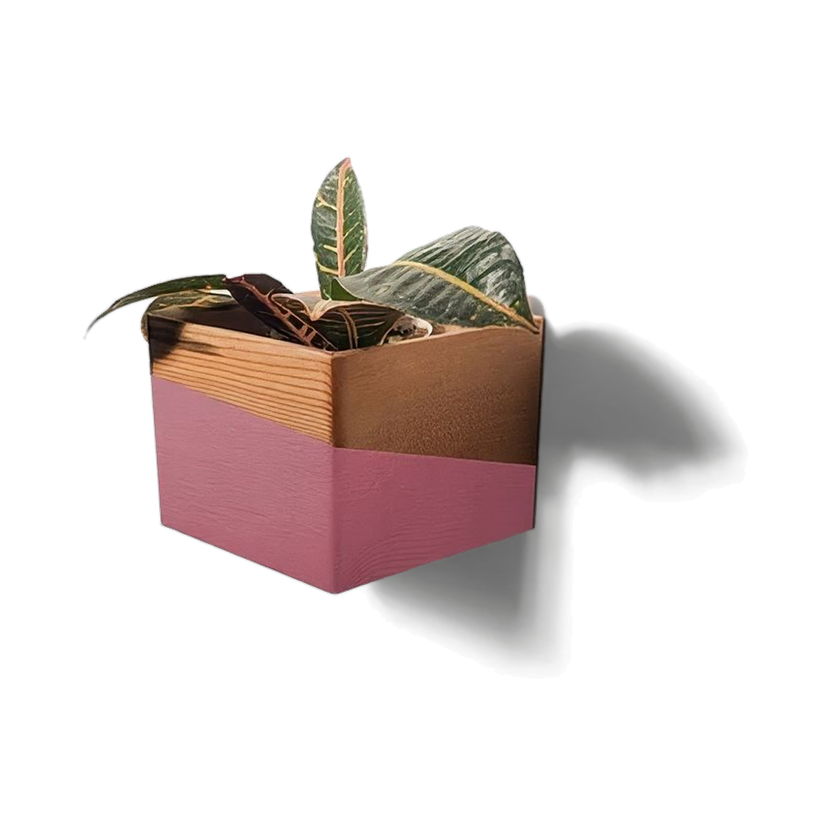 Wooden wall planter in reclaimed pine with a dipped pink band, hung corner-down