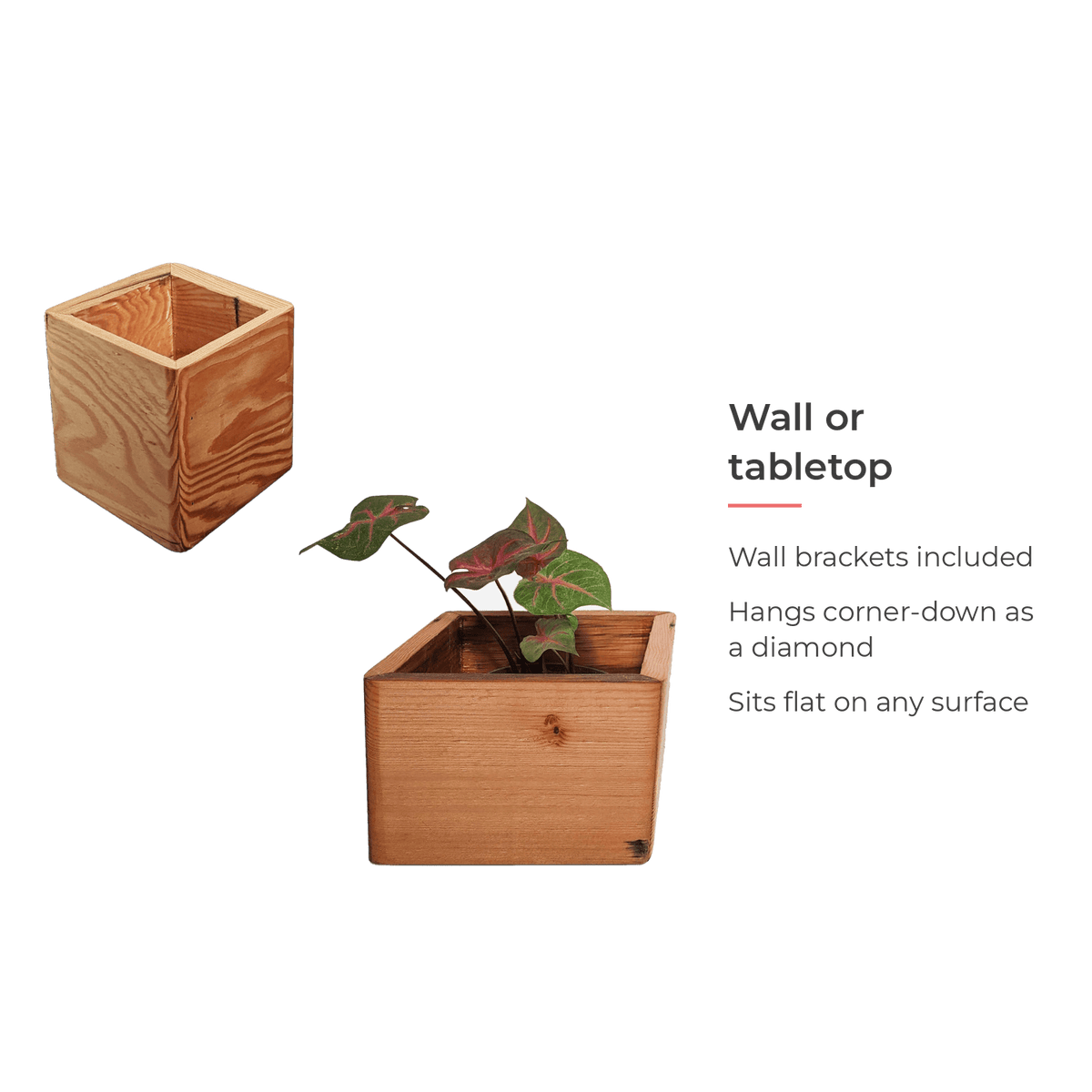 Spec card: wall or tabletop, brackets included