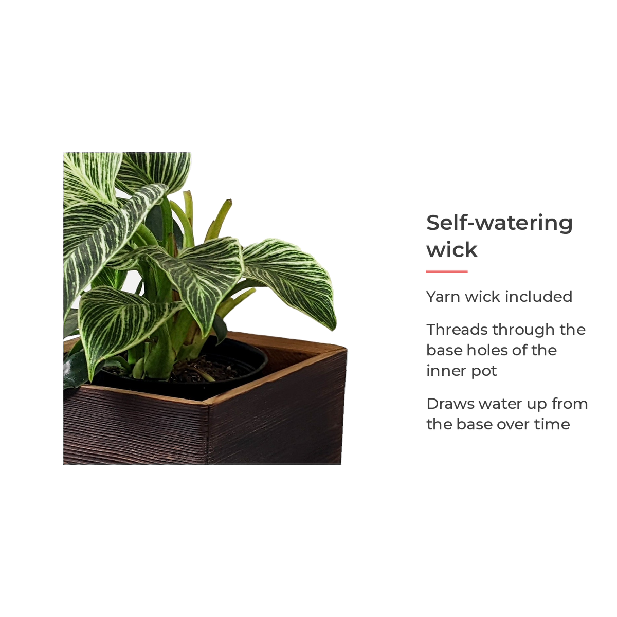 Spec card: self-watering yarn wick included