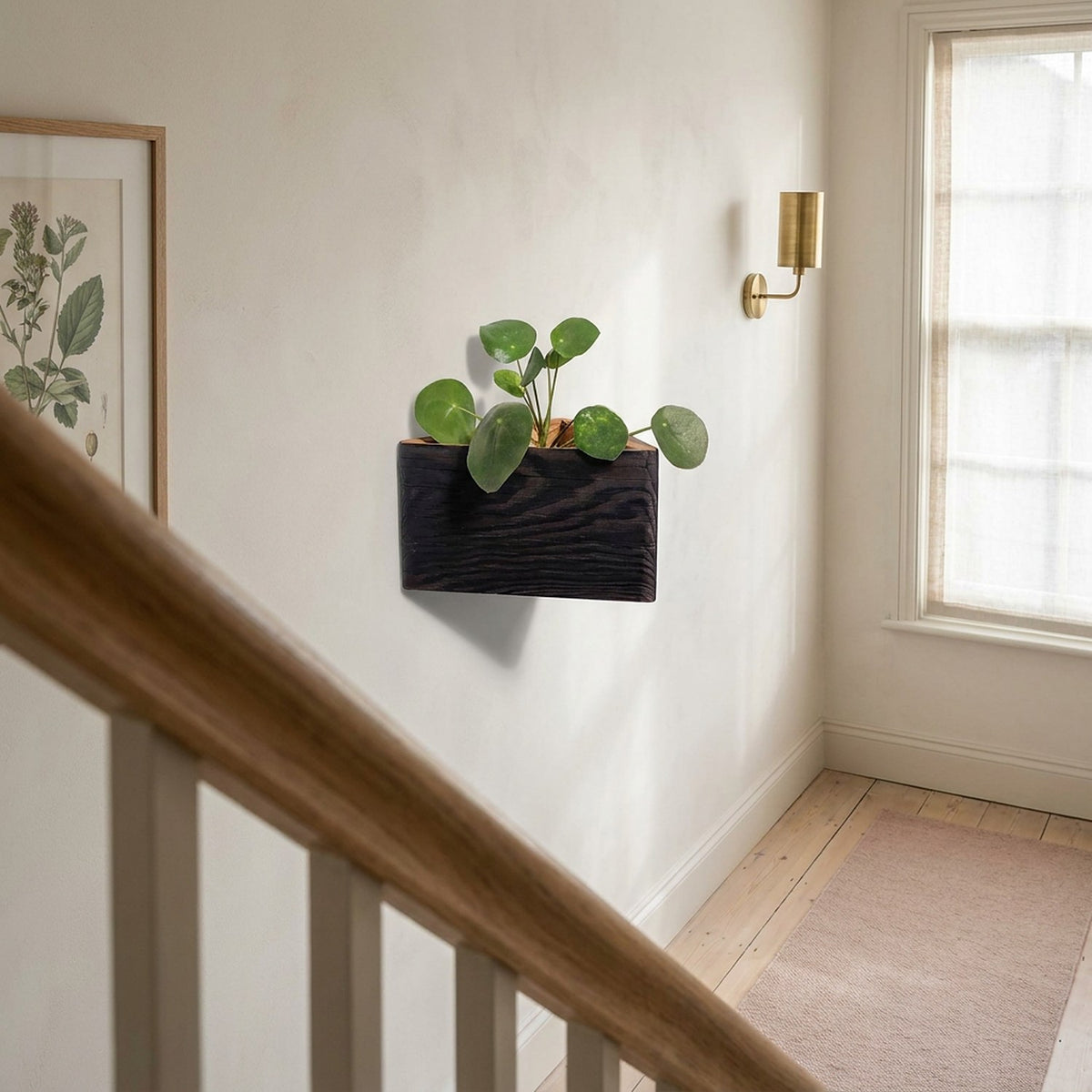 Triangle wall planter in brushed brown mounted on a plaster wall beside an oak stair balustrade