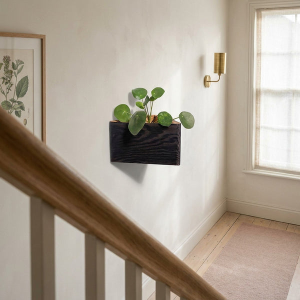 Wall Planters Outdoor & Wall Hanging Planters