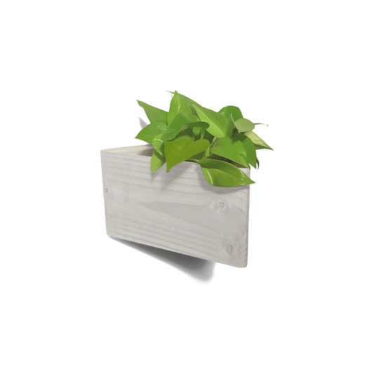 Triangle wall planter in stained white reclaimed wood with a pothos plant, wall mounted