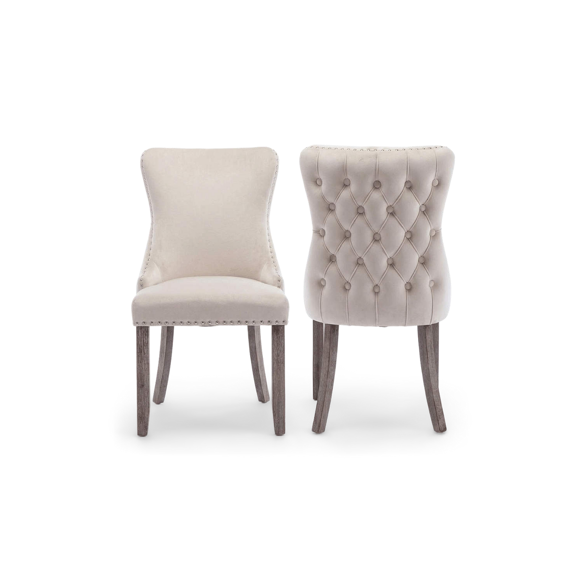 Pair of beige velvet wingback dining chairs with nailhead trim, front and back view (plain studio)