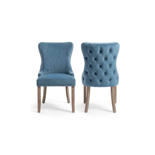 Pair of light blue velvet wingback dining chairs with nailhead trim, front and back view (plain studio)