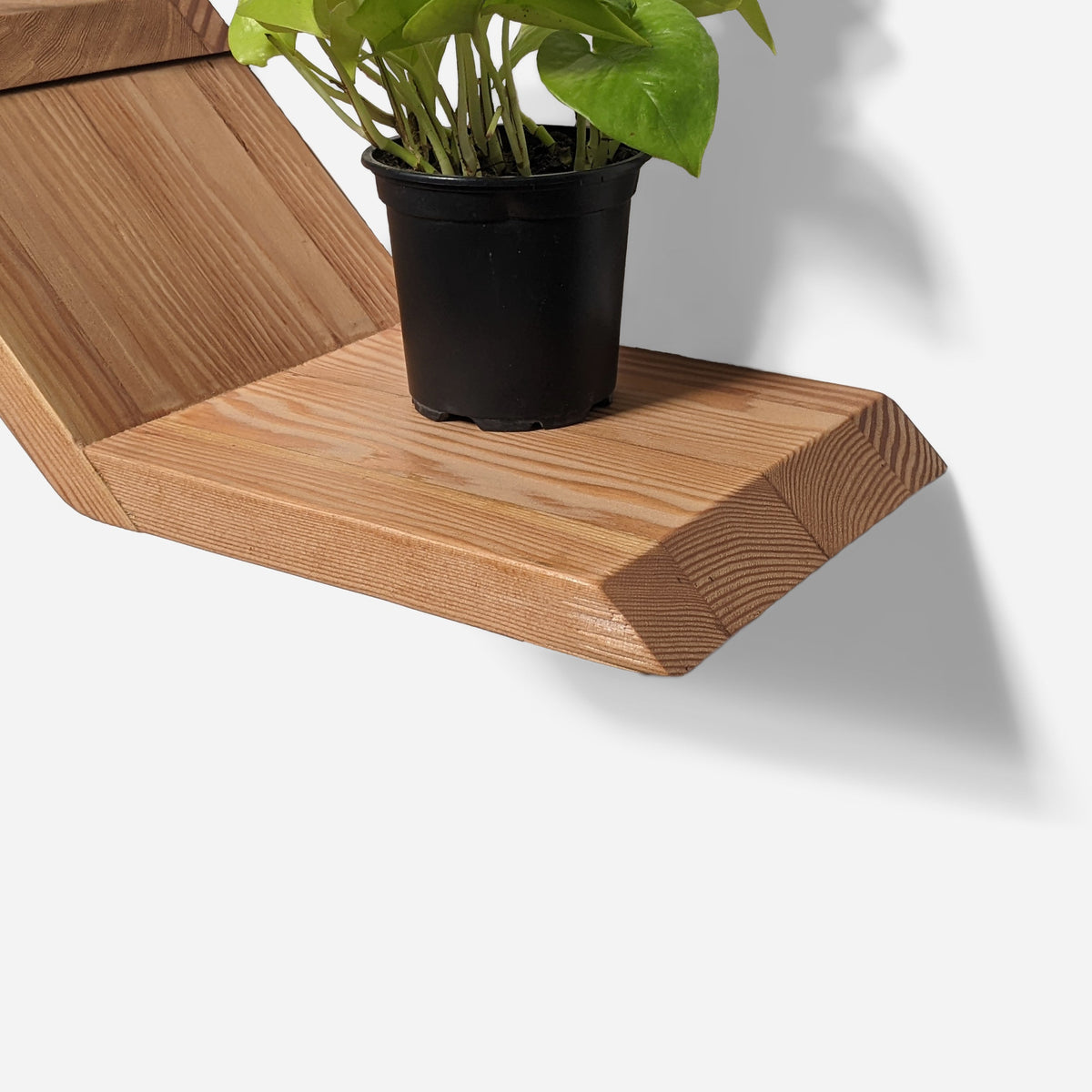 Wooden staircase shelf in reclaimed fir, close view of the chamfered tray end holding a potted plant