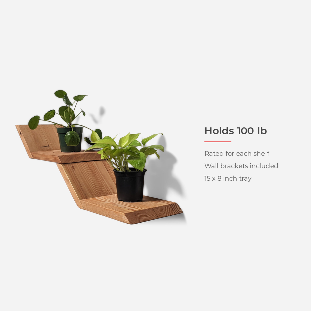 Holds 100 lb spec card showing two shelves carrying potted plants (feature callout)